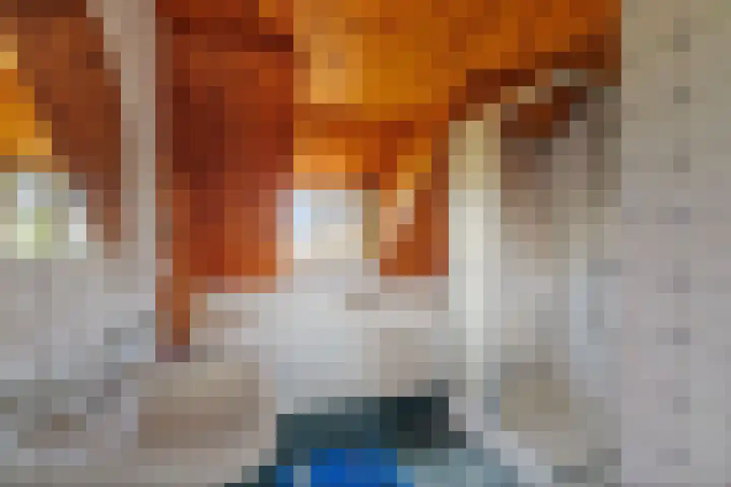 Rengersweg 27 Laren thumbnail 27