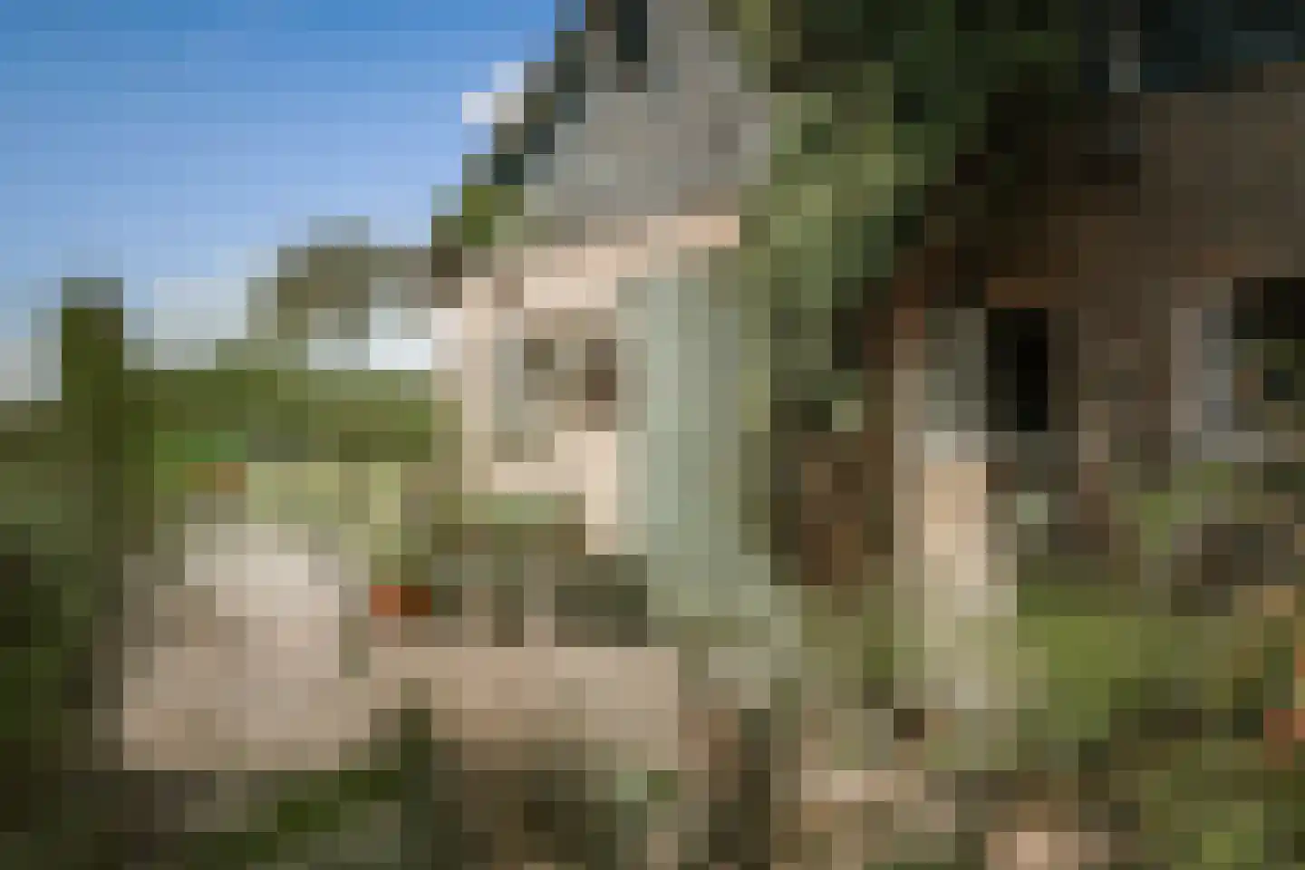Rengersweg 27 Laren thumbnail 32