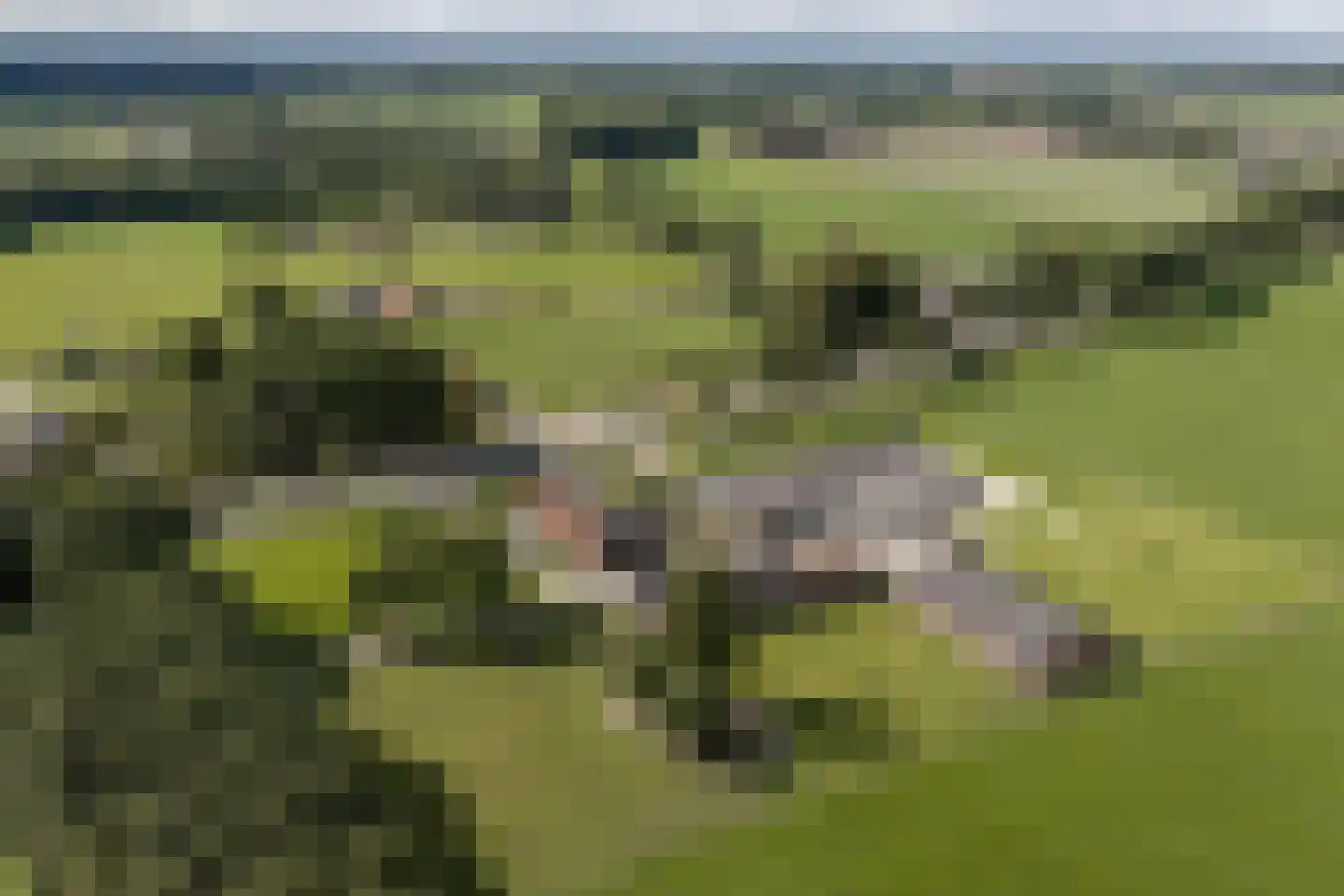 Rengersweg 27 Laren thumbnail 51