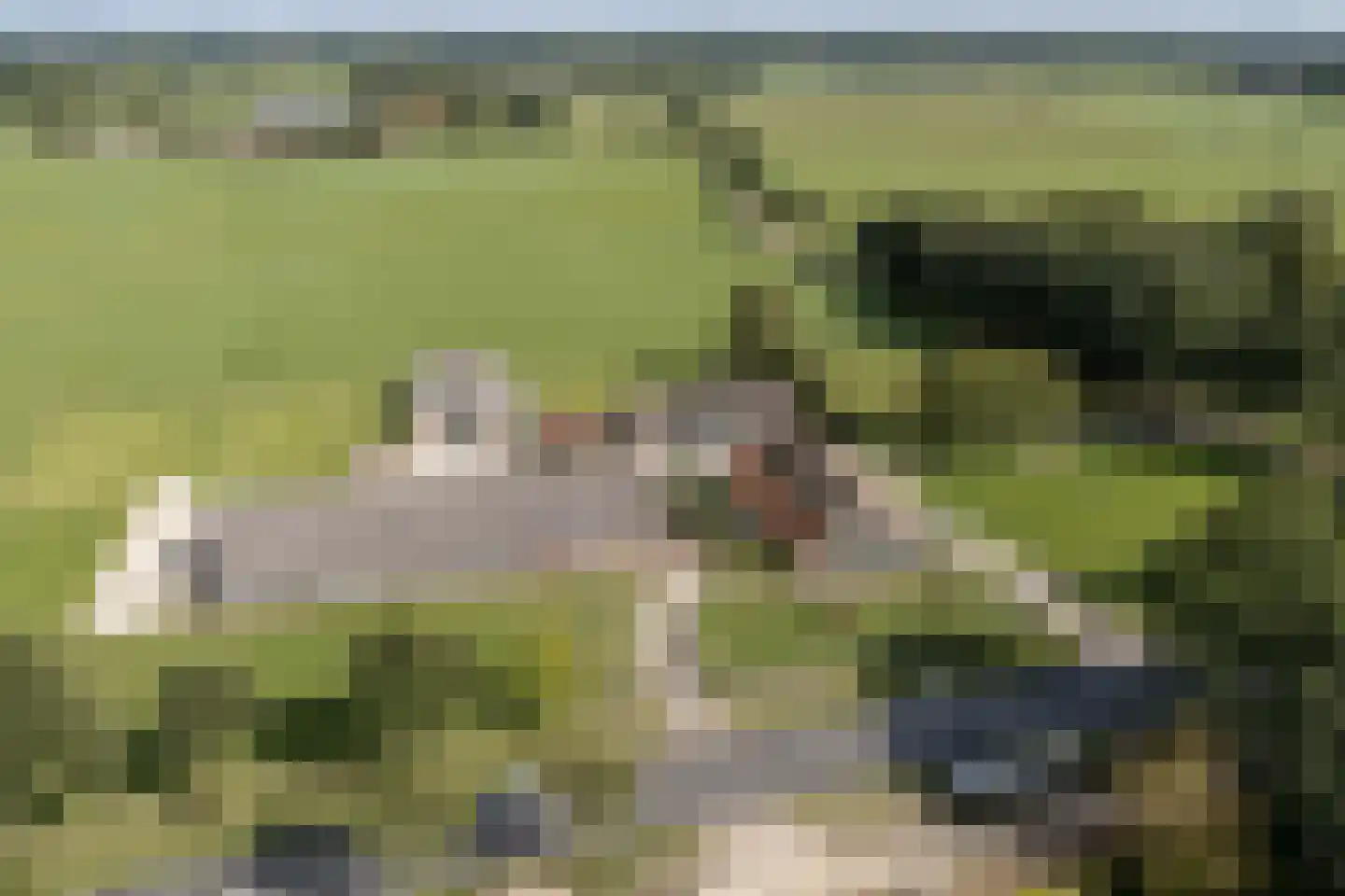 Rengersweg 27 Laren thumbnail 52