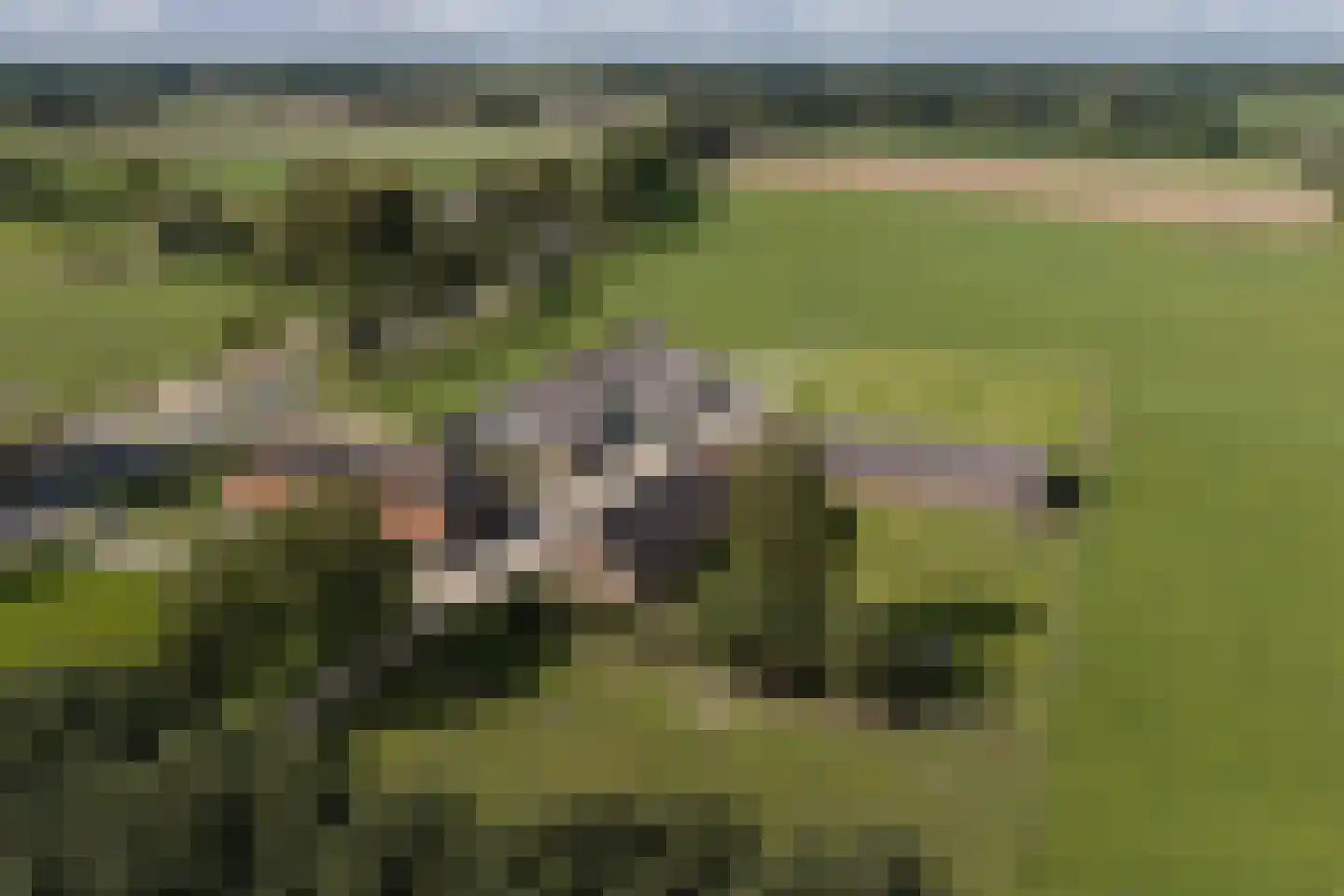 Rengersweg 27 Laren thumbnail 54