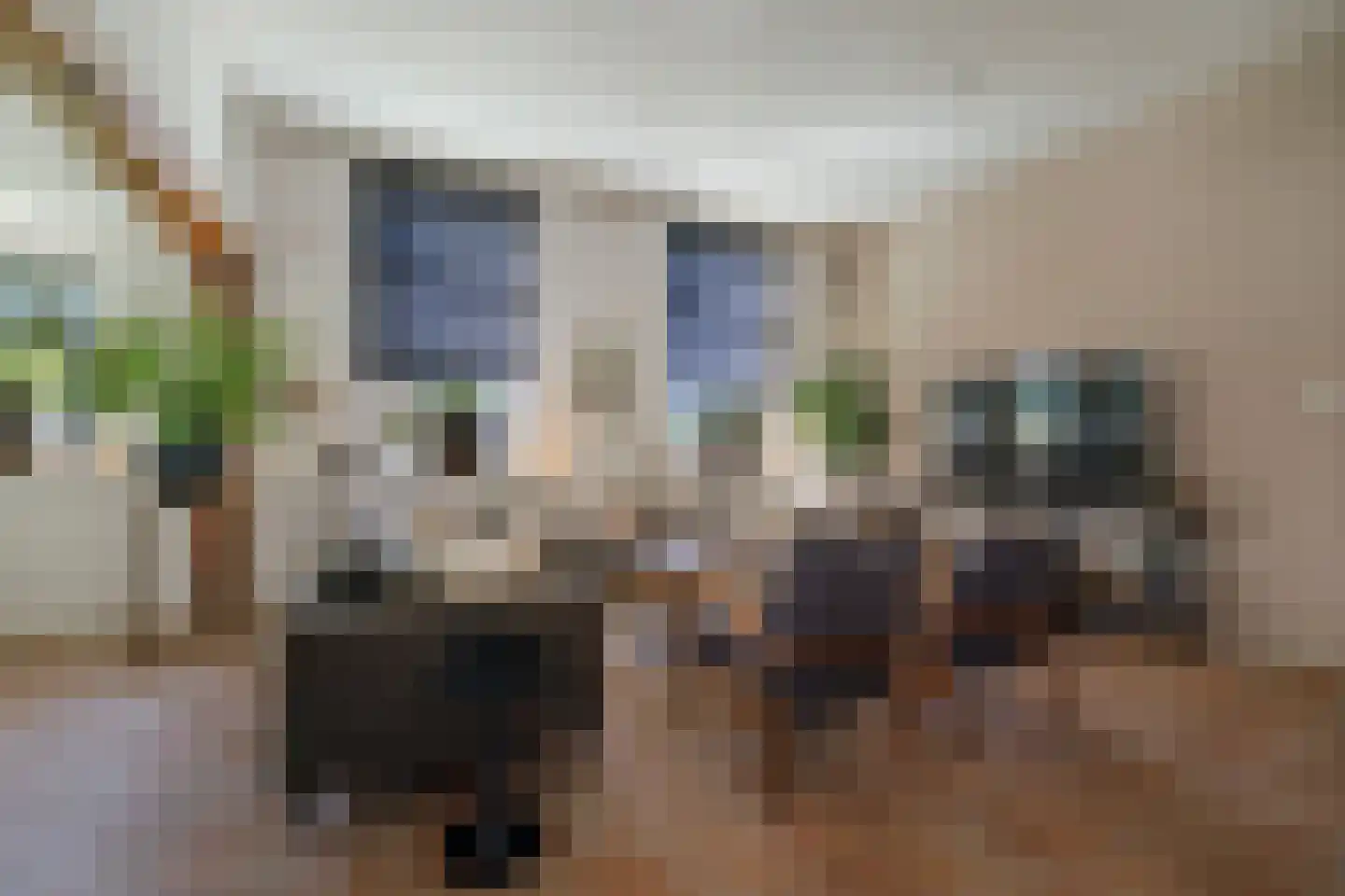 Rengersweg 27 Laren thumbnail 6