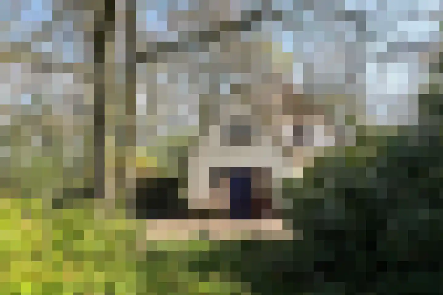 Rengersweg 28 Laren