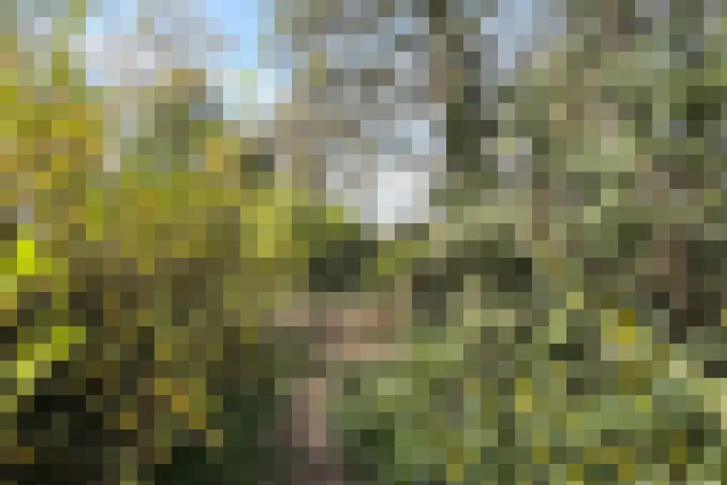 Rengersweg 28 Laren thumbnail 20