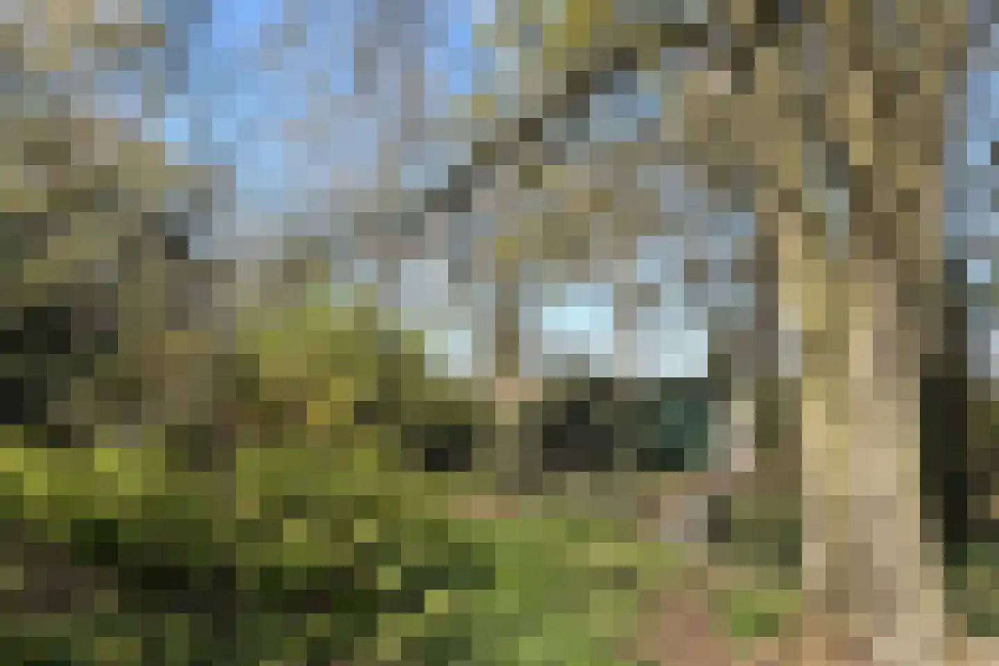 Rengersweg 28 Laren thumbnail 22