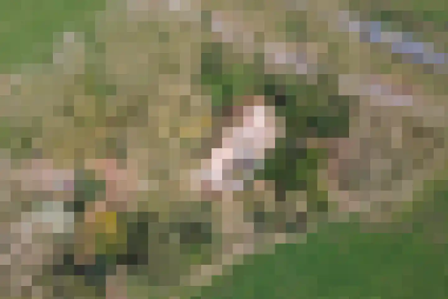 Rengersweg 28 Laren thumbnail 24