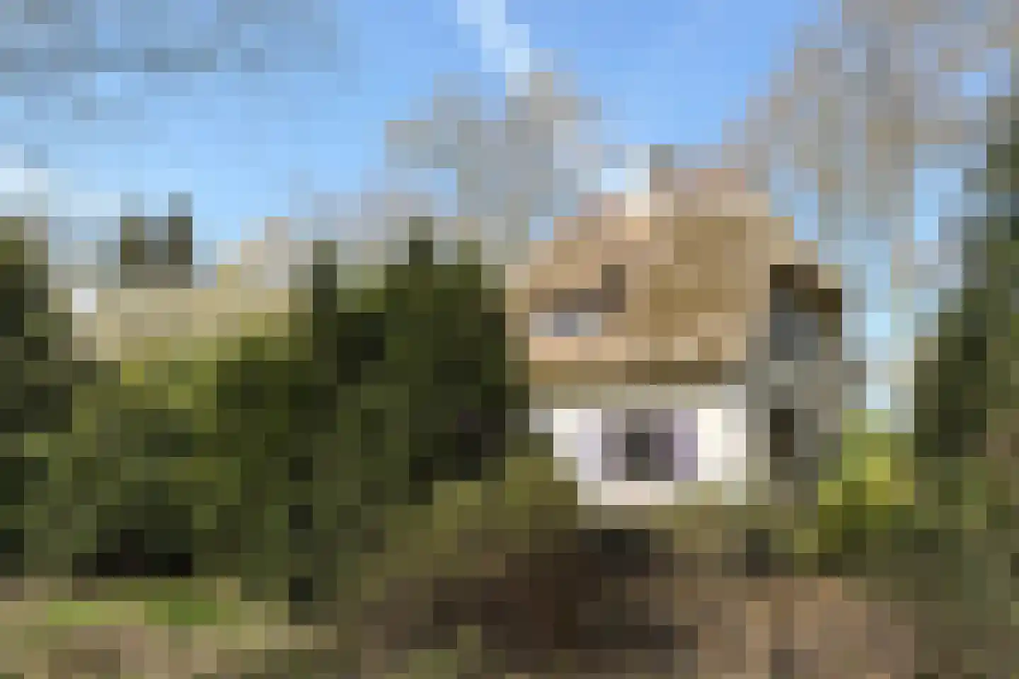 Rengersweg 28 Laren thumbnail 25