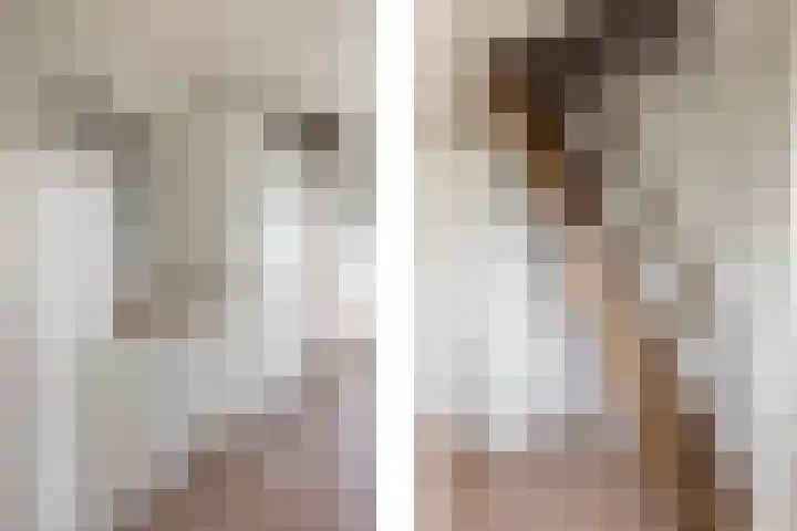 Renier Sniederslaan 5 Waalre thumbnail 10