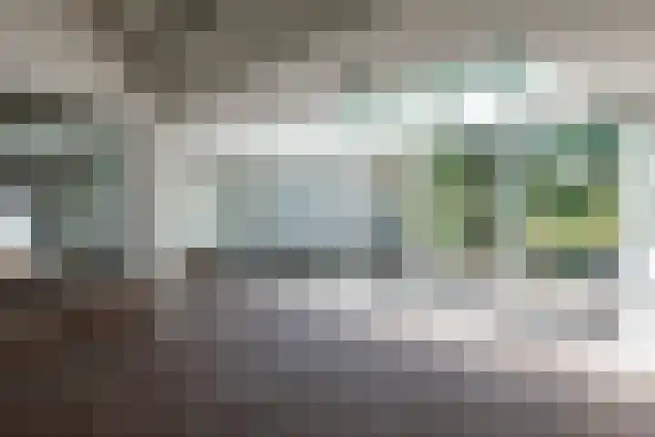 Renier Sniederslaan 5 Waalre thumbnail 12