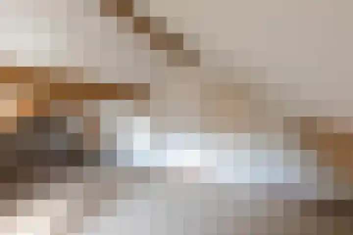 Renier Sniederslaan 5 Waalre thumbnail 32