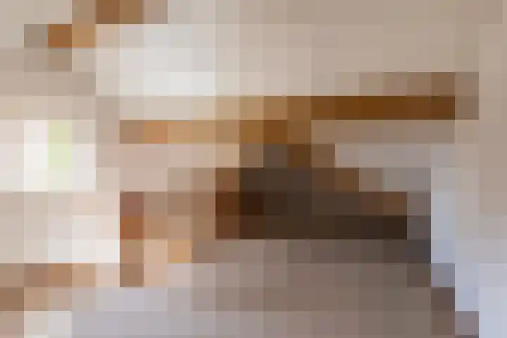 Renier Sniederslaan 5 Waalre thumbnail 33