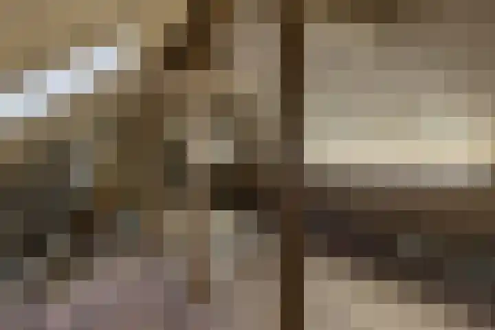 Renier Sniederslaan 5 Waalre thumbnail 34