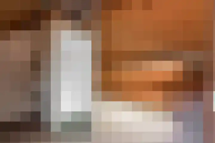 Renier Sniederslaan 5 Waalre thumbnail 37