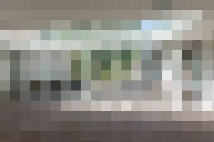 Renier Sniederslaan 5 Waalre thumbnail 38