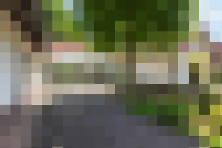 Renier Sniederslaan 5 Waalre thumbnail 39