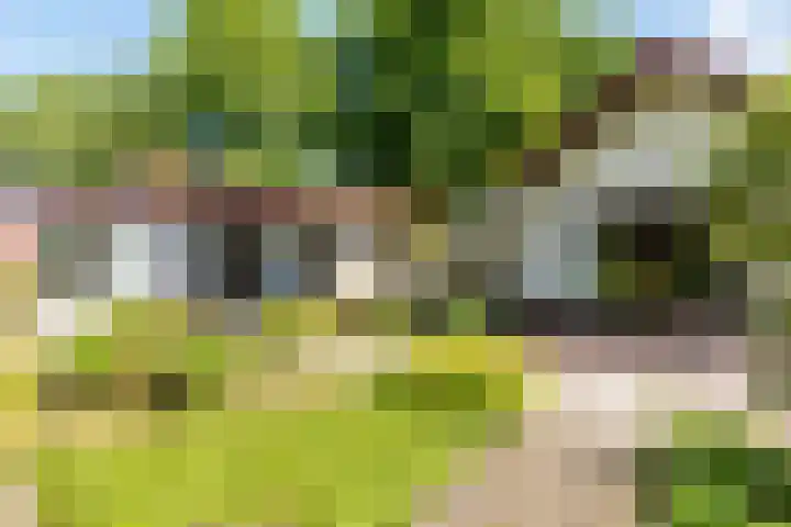 Renier Sniederslaan 5 Waalre thumbnail 40