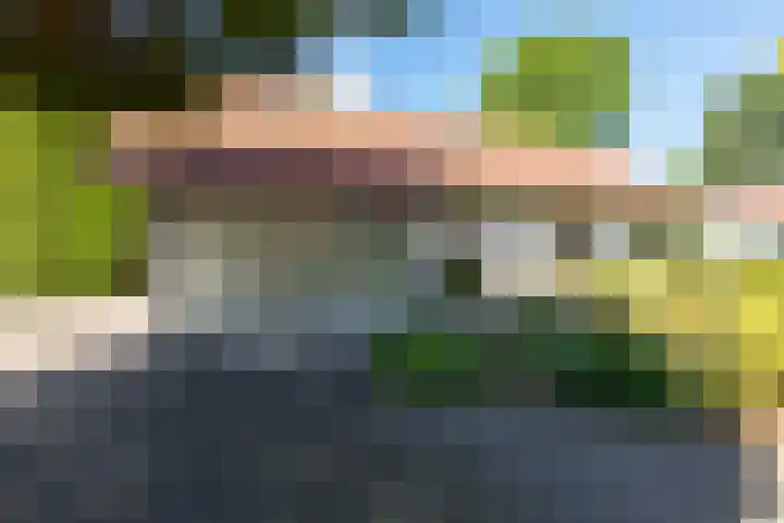 Renier Sniederslaan 5 Waalre thumbnail 42