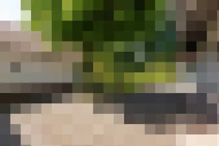 Renier Sniederslaan 5 Waalre thumbnail 43