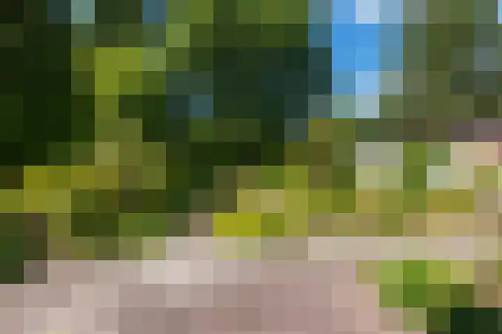 Renier Sniederslaan 5 Waalre thumbnail 44