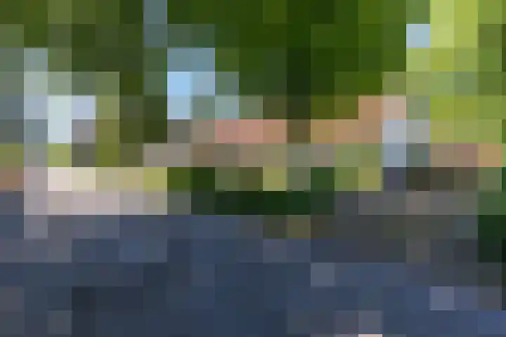 Renier Sniederslaan 5 Waalre thumbnail 47
