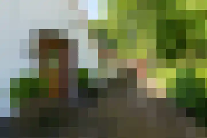 Renier Sniederslaan 5 Waalre thumbnail 48