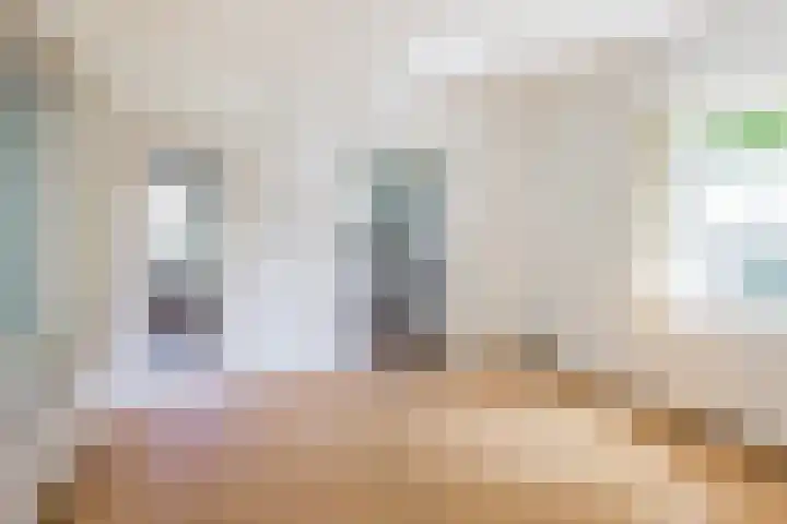 Renier Sniederslaan 5 Waalre thumbnail 7