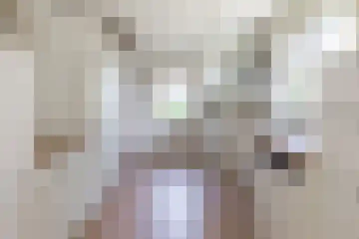 Renier Sniederslaan 5 Waalre thumbnail 8