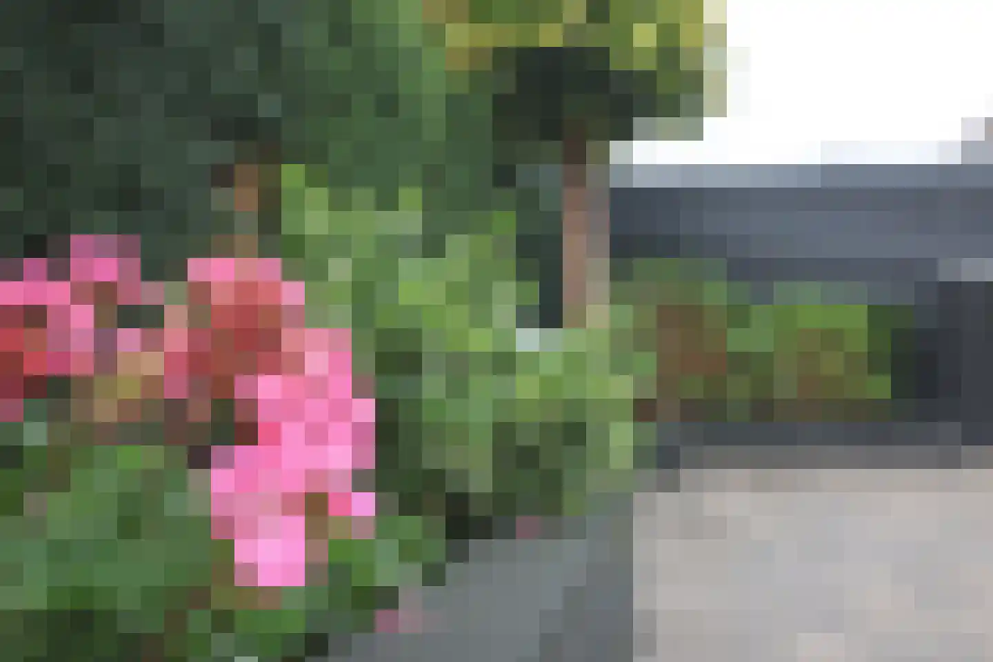 Renierstraat 5 Kerkrade thumbnail 29