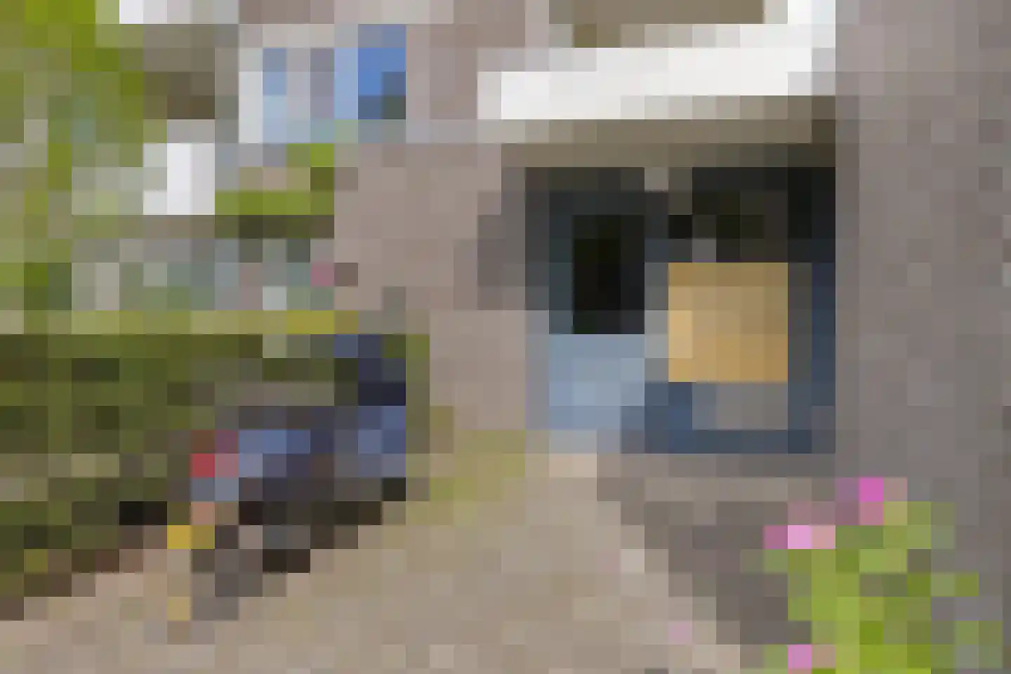 Renkumhof 15 Amsterdam thumbnail 25