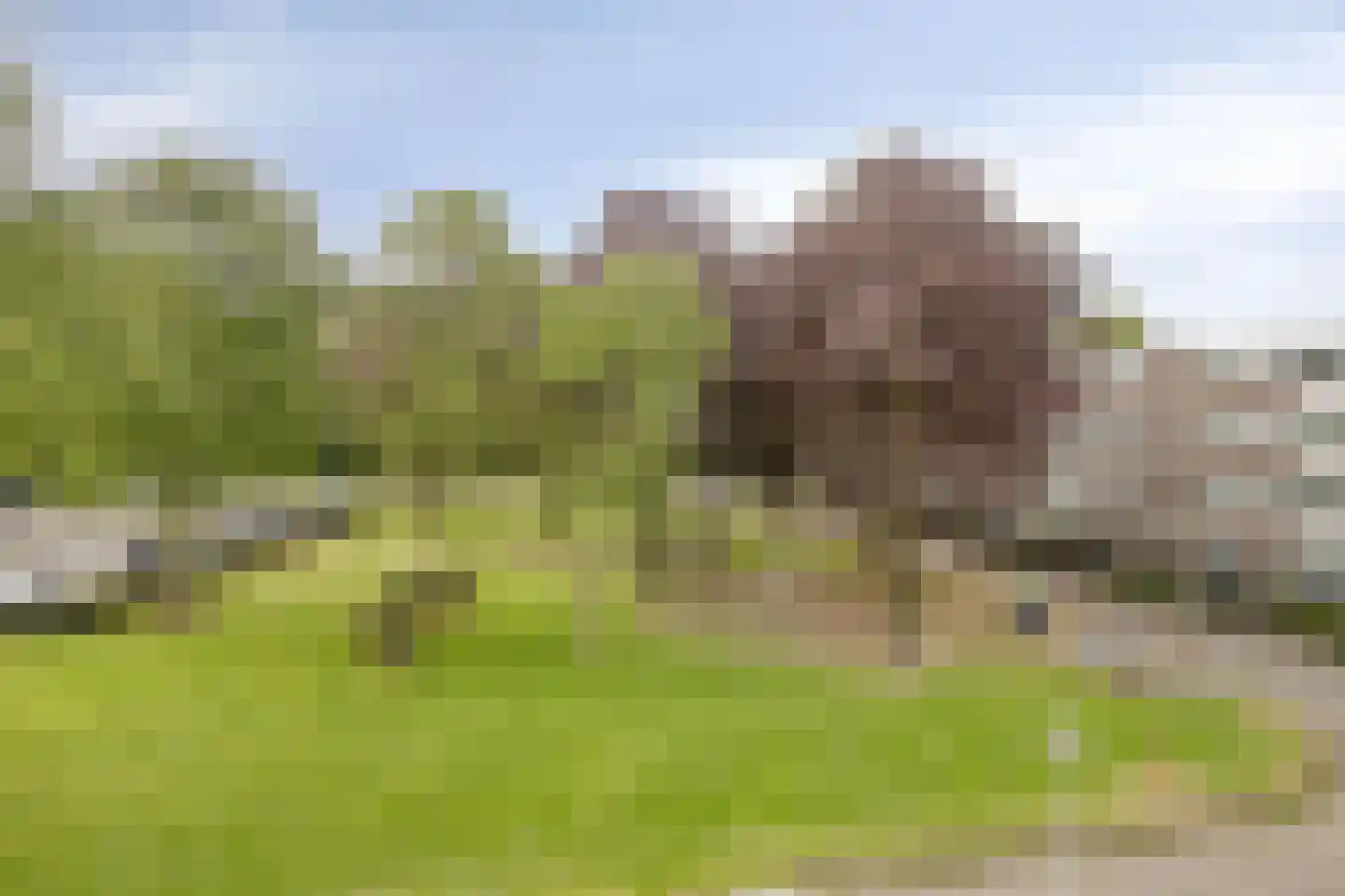 Renkumhof 15 Amsterdam thumbnail 27