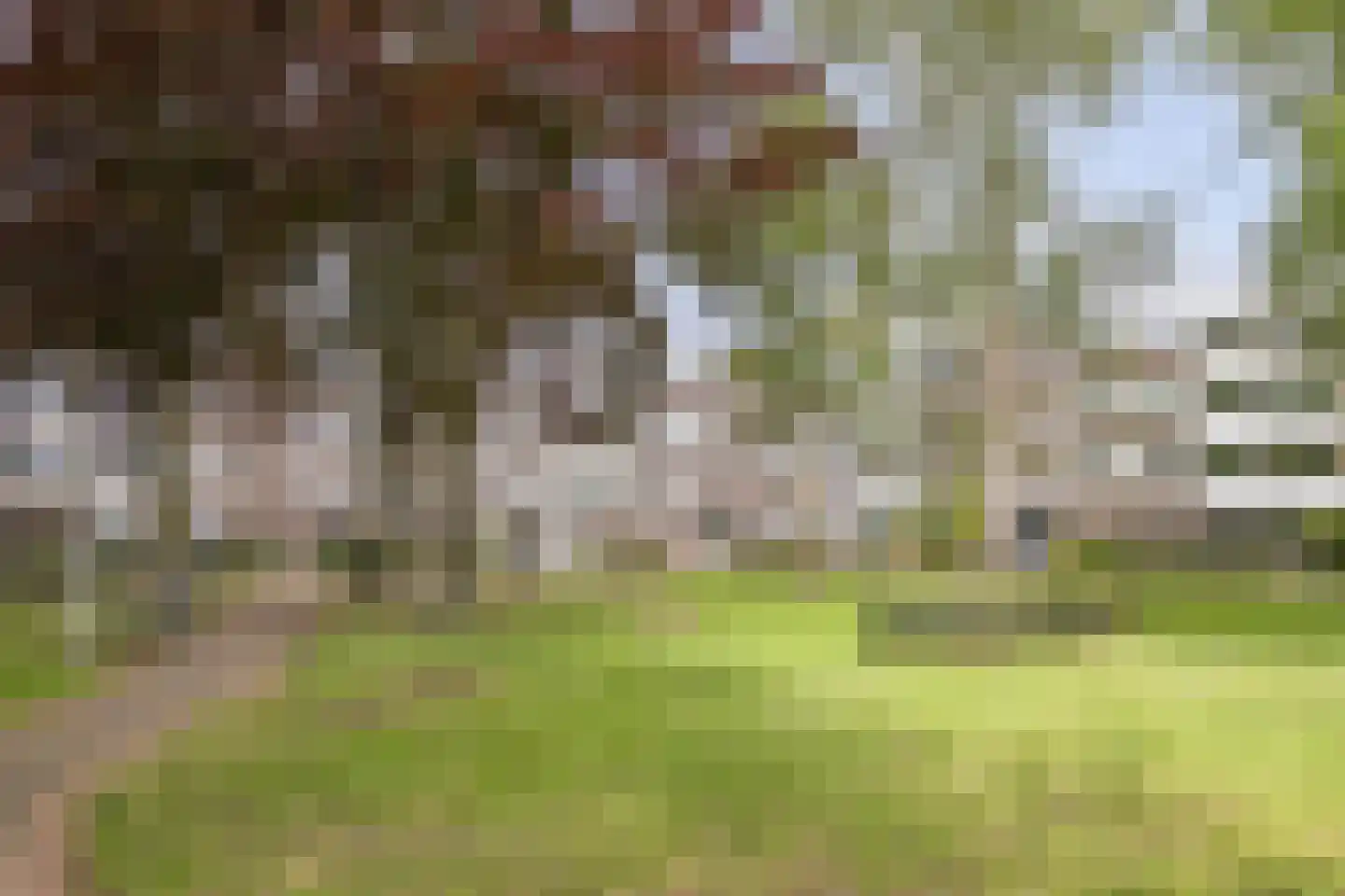 Renkumhof 15 Amsterdam thumbnail 29