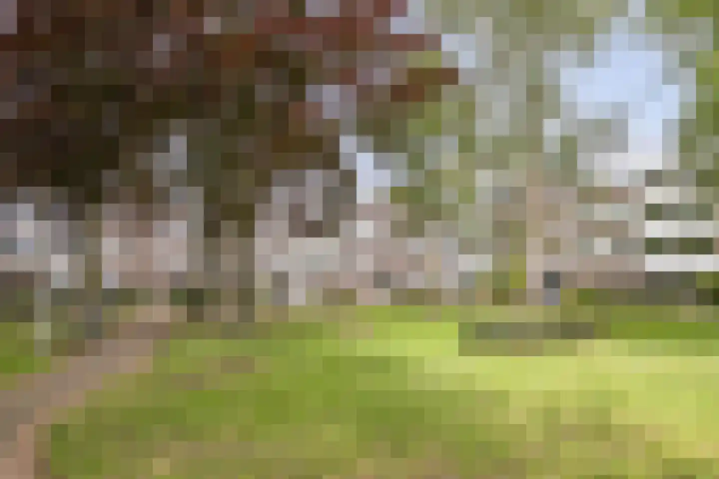 Renkumhof 15 Amsterdam thumbnail 29