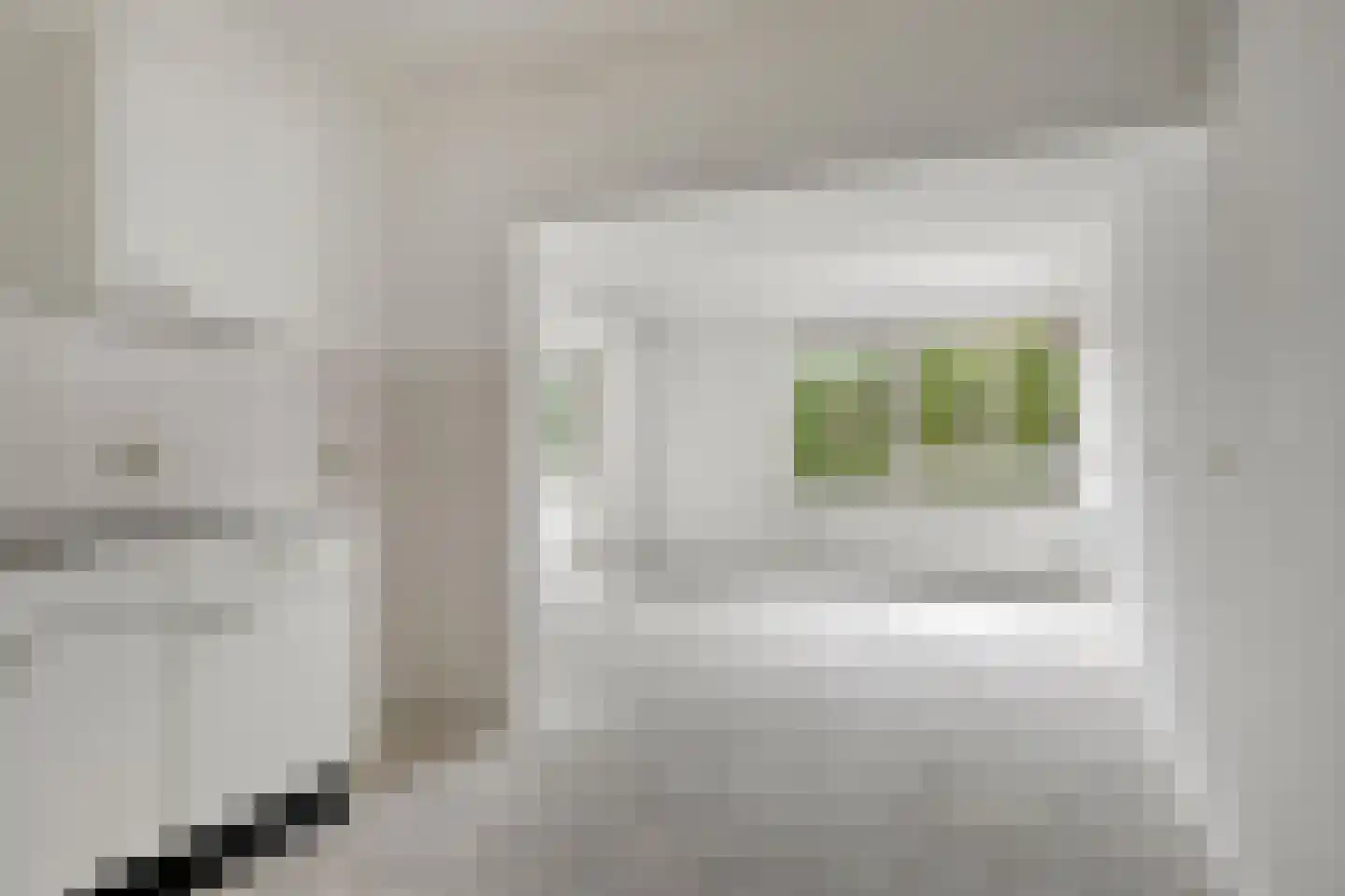 Renkumhof 15 Amsterdam thumbnail 7