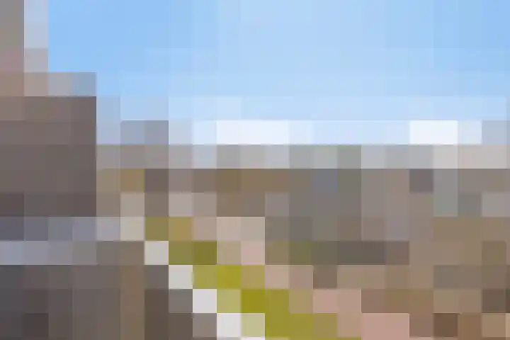 Renkumhof 36 Amsterdam thumbnail 18