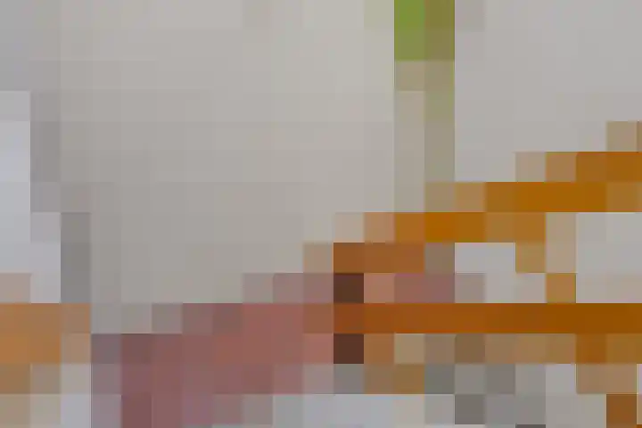 Renkumhof 36 Amsterdam thumbnail 22