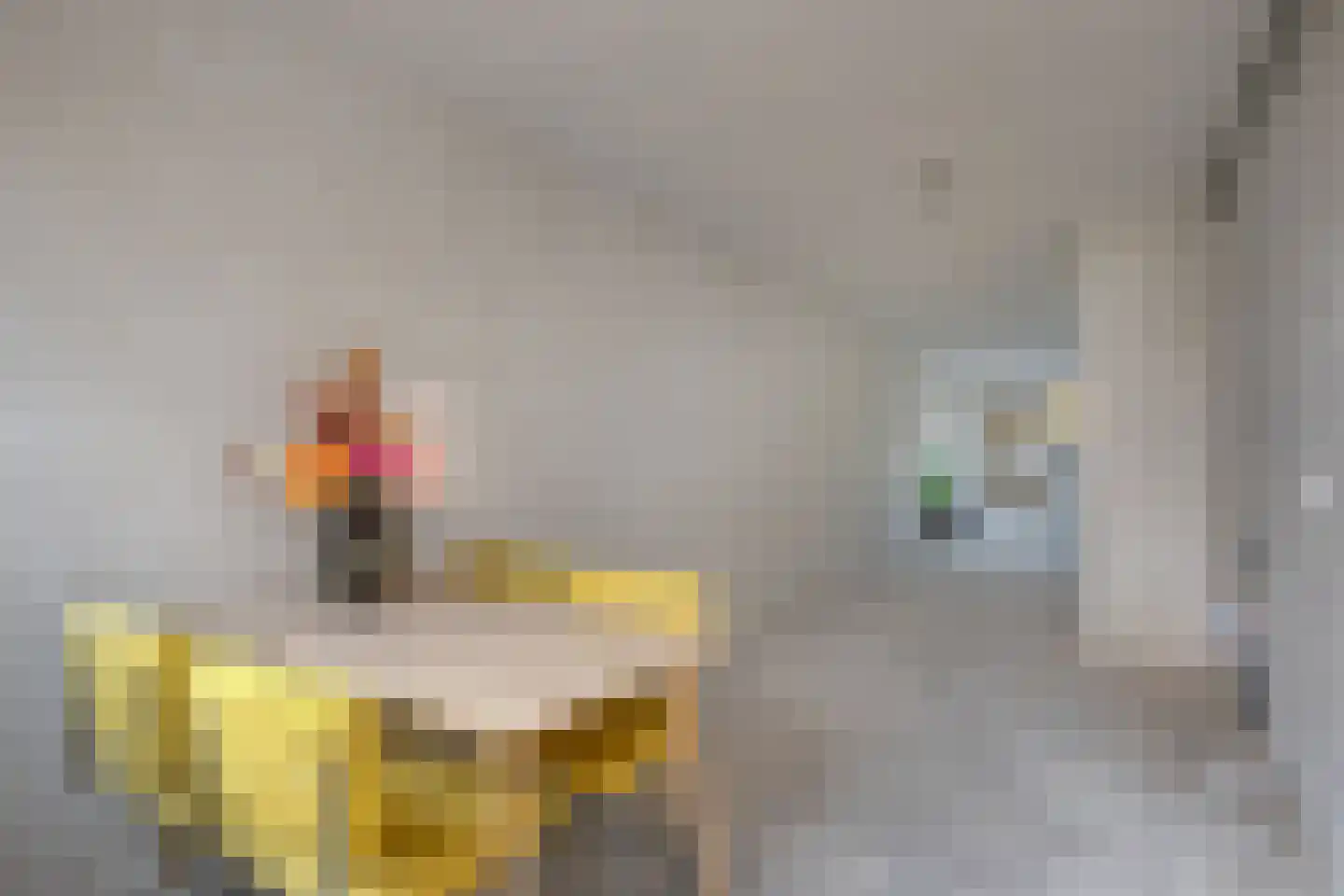 Renkumhof 54 Amsterdam thumbnail 11