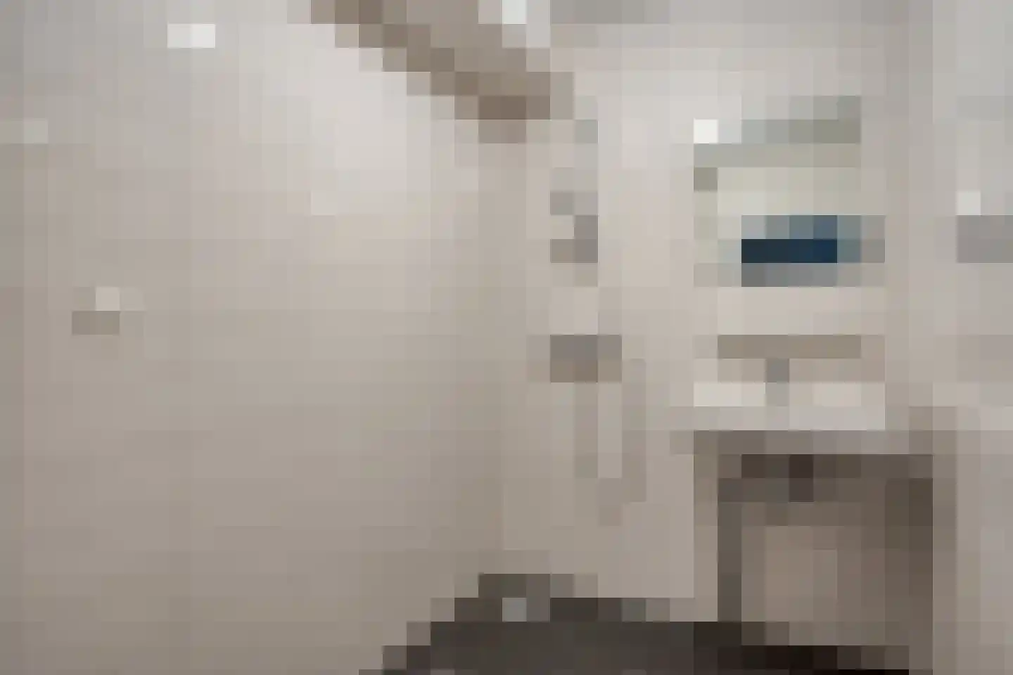Renkumhof 54 Amsterdam thumbnail 17