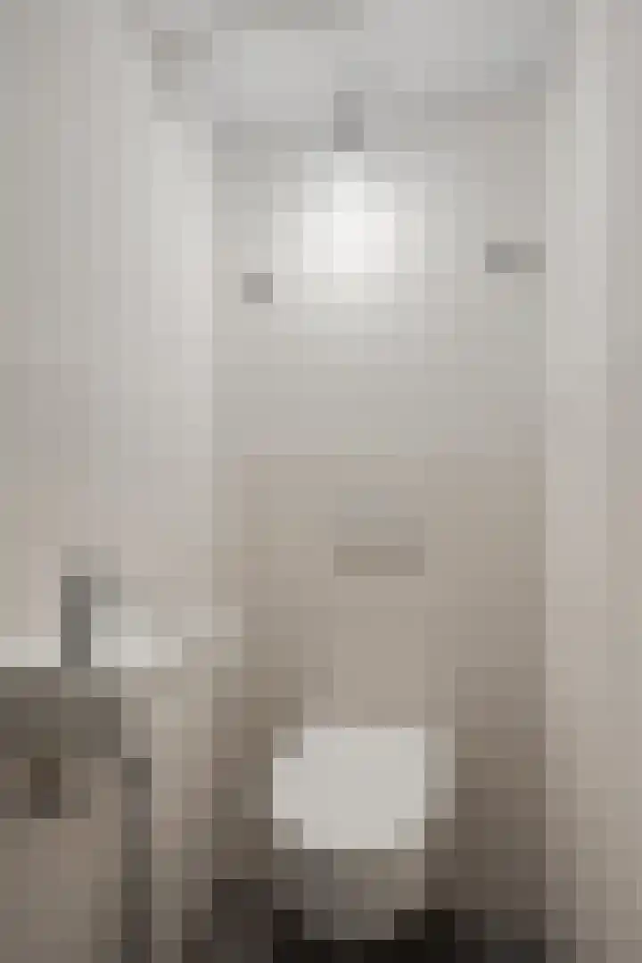 Renkumhof 54 Amsterdam thumbnail 20