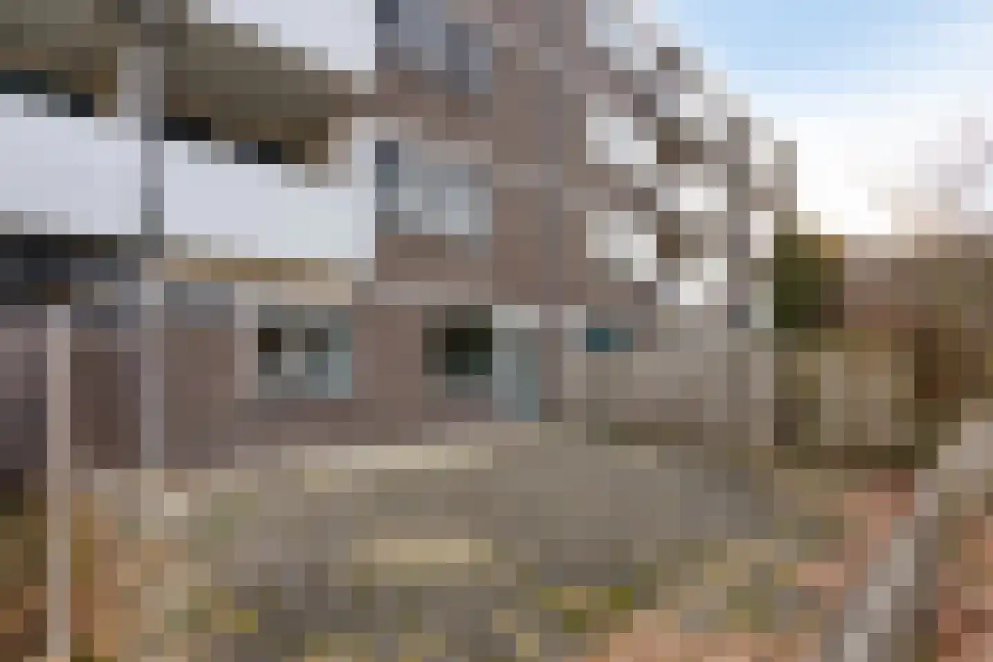 Renkumhof 54 Amsterdam thumbnail 6