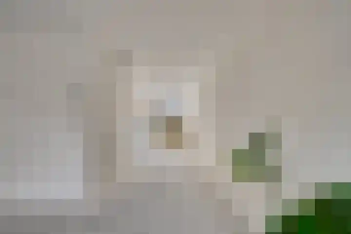 Renkumhof 54 Amsterdam thumbnail 9