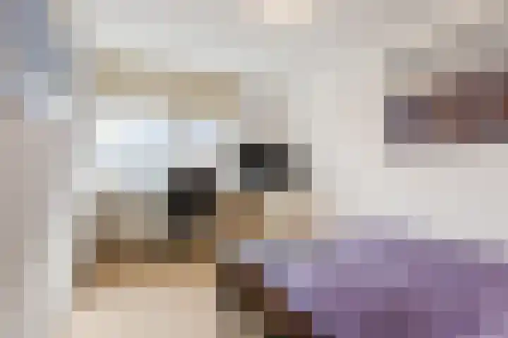 Renkumlaan 11 Tilburg thumbnail 24