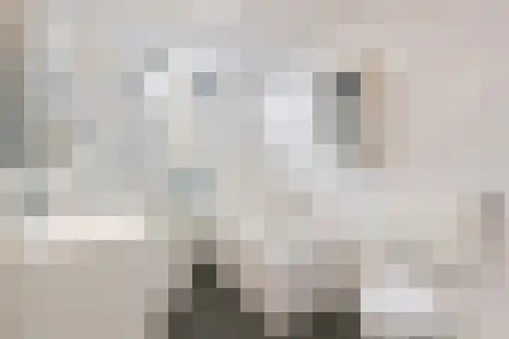 Renkumlaan 11 Tilburg thumbnail 28