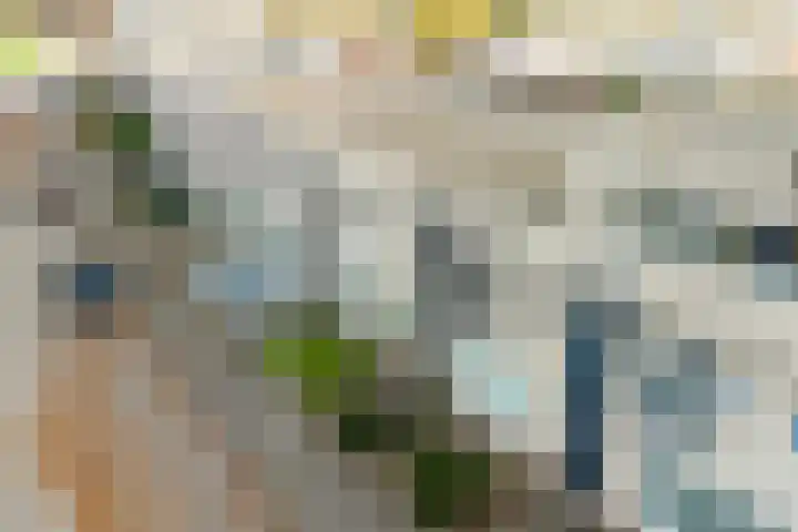 Renkumlaan 11 Tilburg thumbnail 35