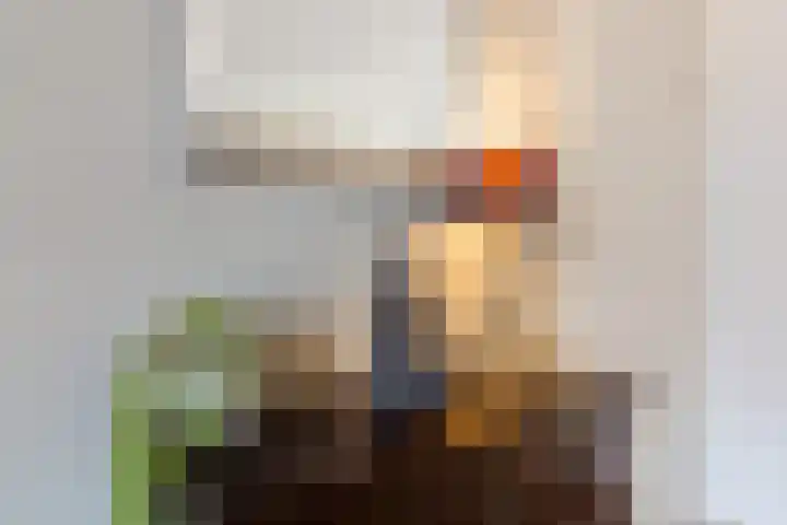Renkumlaan 11 Tilburg thumbnail 9