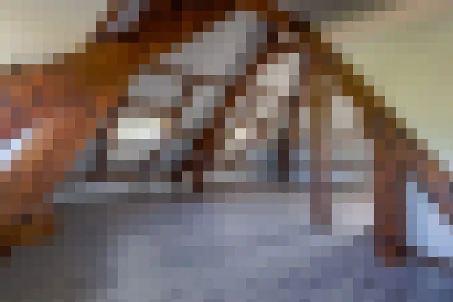 Rennemigstraat 14 Heerlen thumbnail 26