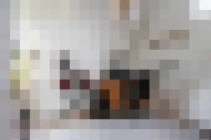 Rennemigstraat 47 Heerlen thumbnail 20