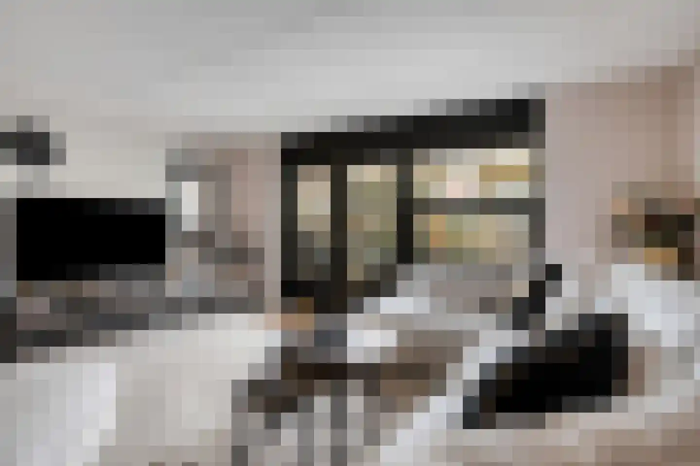 Renoirhof 110 Hoorn thumbnail 9