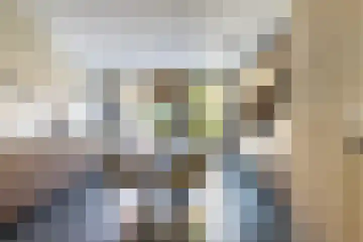 Renoirhof 12 Utrecht thumbnail 10