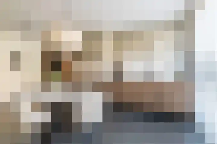 Renoirhof 12 Utrecht thumbnail 13
