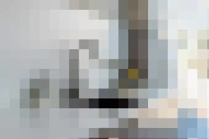 Renoirhof 12 Utrecht thumbnail 16